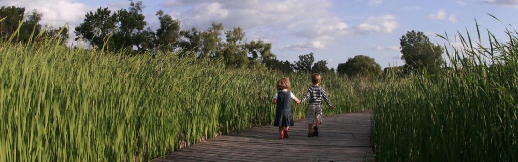 Kids walking on boardwalk through marsh