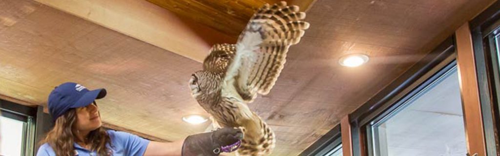 Lowry Nature Center Handler with owl