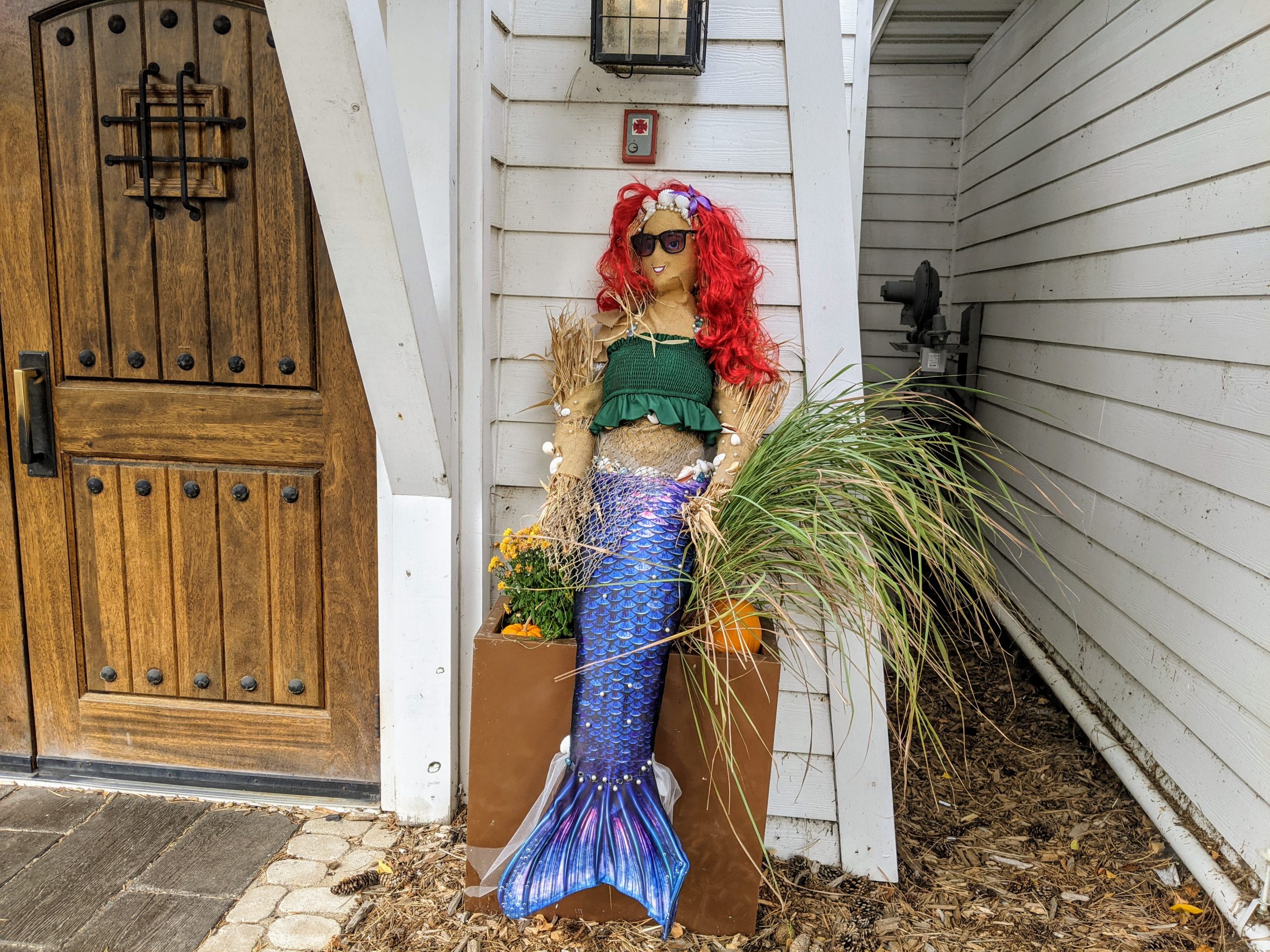 Scarecrows Tour - Destination Waconia