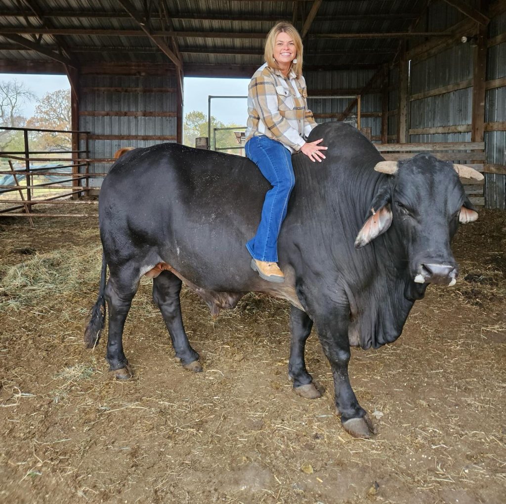 A woman sitting on top of a black bull.