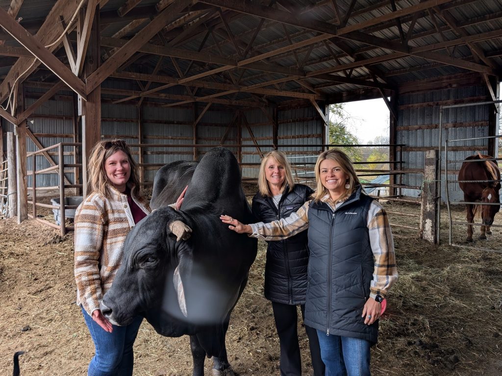 three women standing and smiling with a black bull
