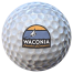 chamberGolf2 waconia chamber of commerce logo on golf ball